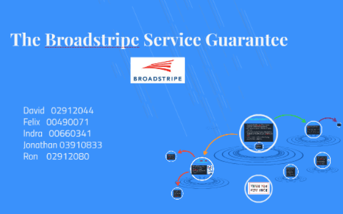 Broadstripes Service Offerings