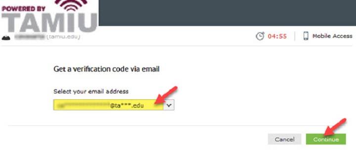 TAMIU Email