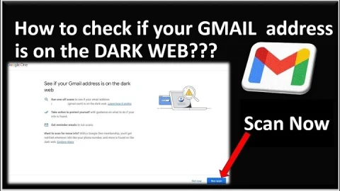 what does it mean if my email was found on the dark webdfgg